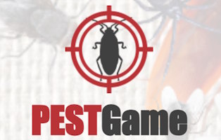 Smash The Bugs: Insect Hunter Game